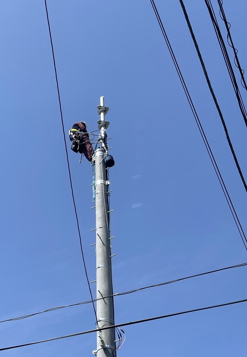 電柱に登り作業するスタッフ